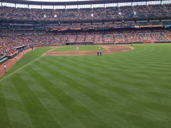 View from Standing Room Only area at Camden Yards